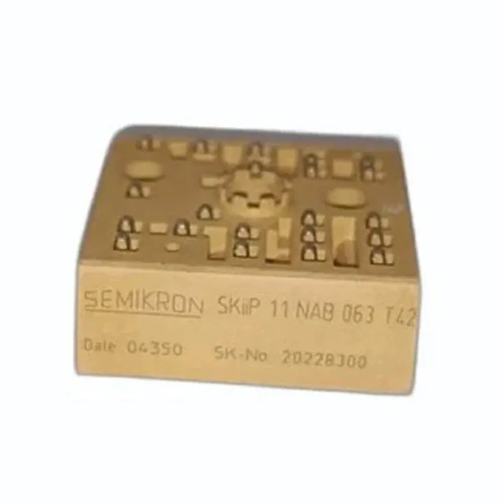 SKIIP11NAB063T16 (S)