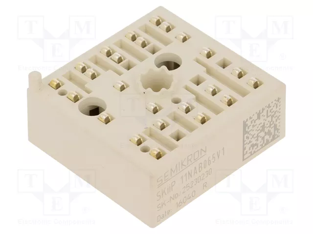 SKIIP11NAB065V1 (N)