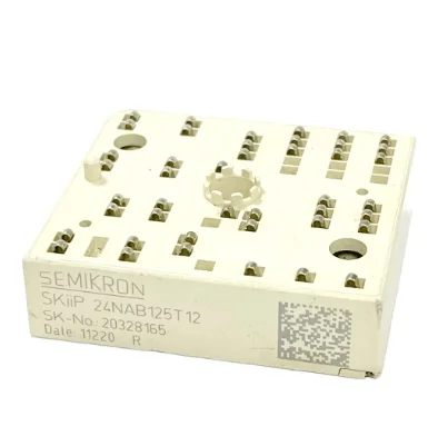 [VE000573] SKIIP24NAB125T12 (S)