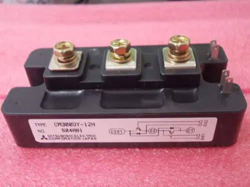 [VE005160] CM300DY-12H